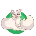 Soir