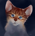 Cookie Draw